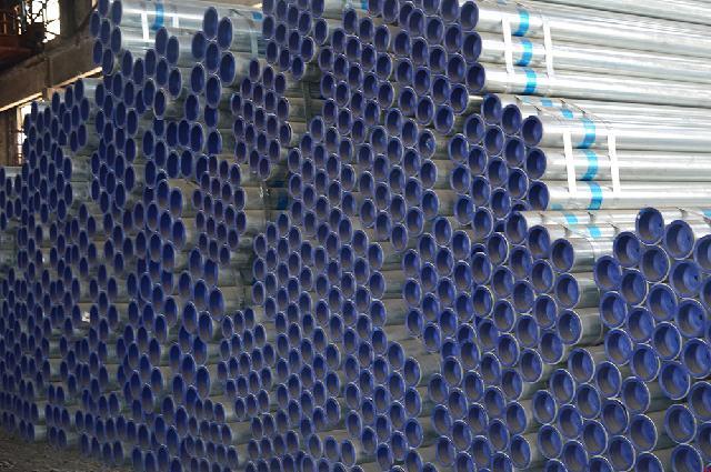 �����Ƹ��ܸ��Ϲ�